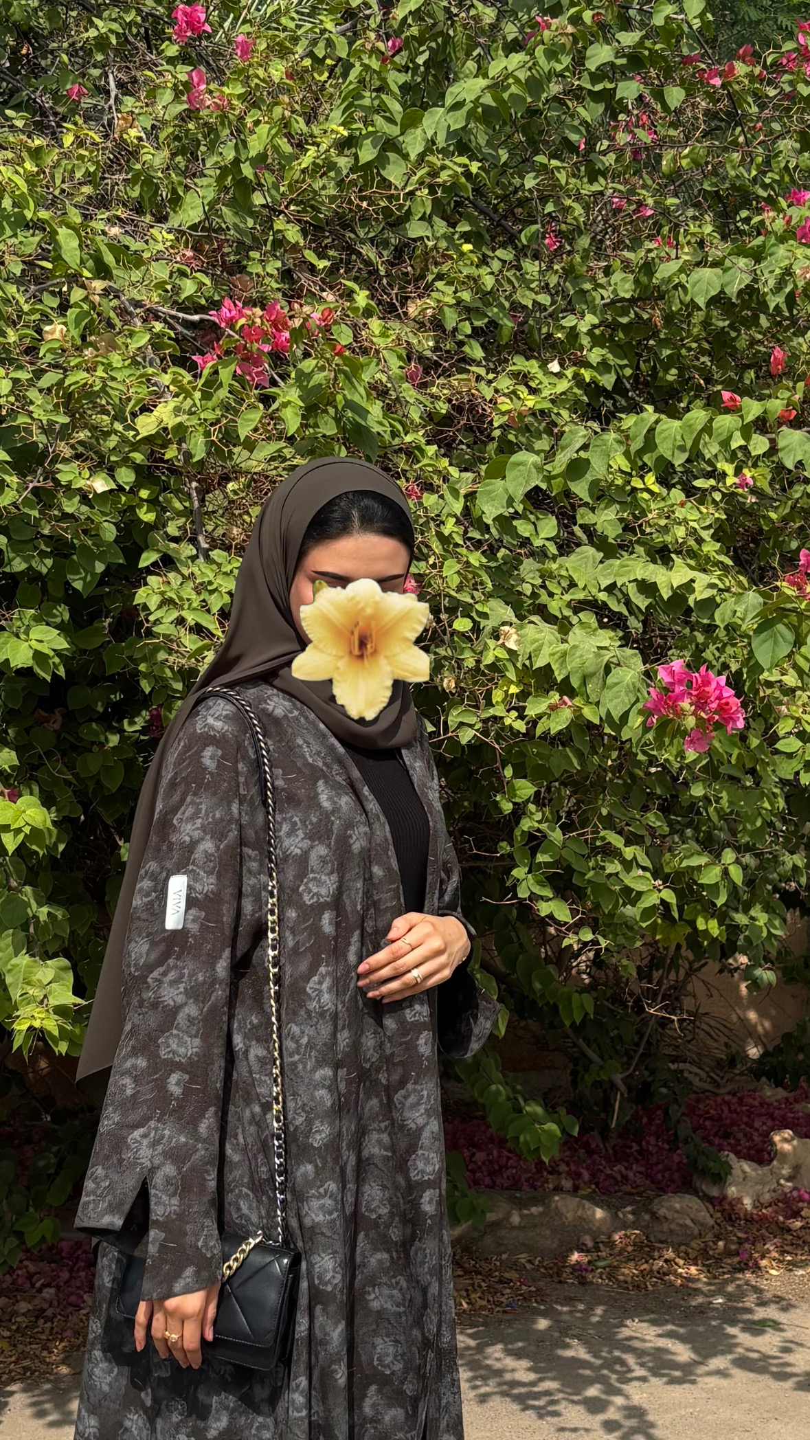 IMG_3520 V10 - الصورة 1